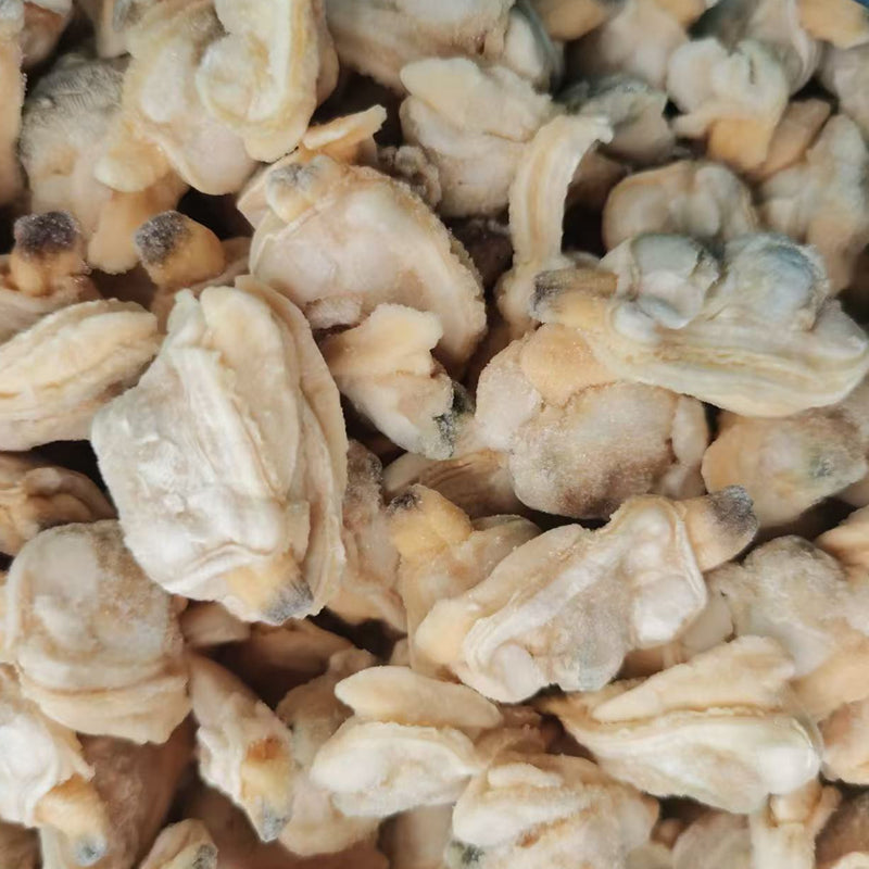 succulent clam meat Manila Clam Meat – dgtqspltd.com