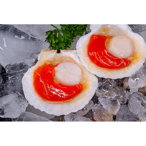 Half-Shelled Ezo Scallop